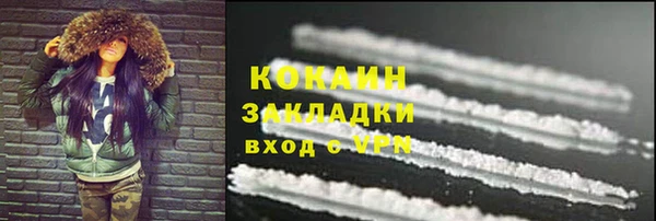 стафф Заводоуковск