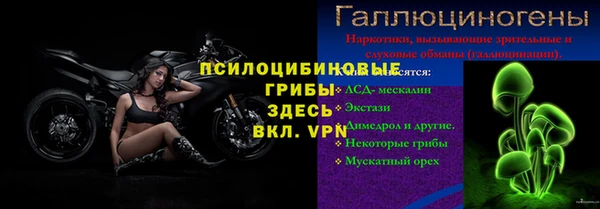 стафф Заводоуковск