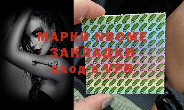 стафф Заводоуковск