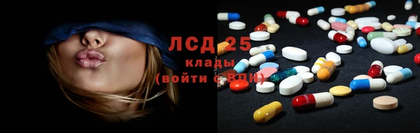 эйфоретик Анжеро-Судженск