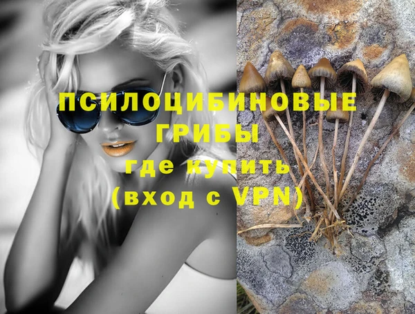 дживик Заволжье