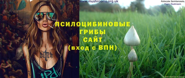 дживик Заволжье