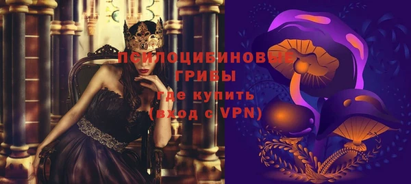стафф Заводоуковск